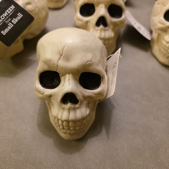Way To Celebrate Set of Six Plastic Skull Decor Pieces Walmart 2025 Halloween - Picture 6 of 11